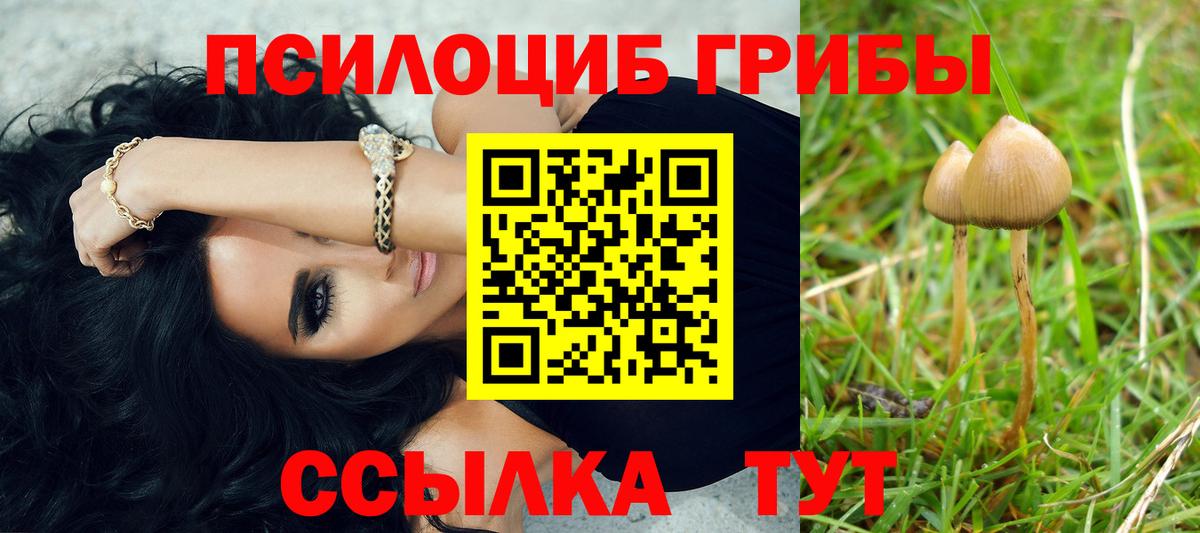 как найти закладки  Вход с VPN  Старая Купавна  Псилоцибиновые грибы GOLDEN TEACHER 